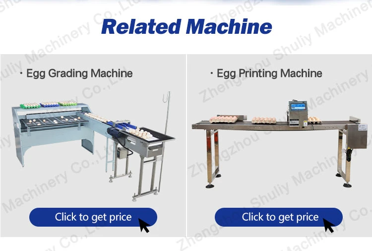 Automatic Egg Washing and Sorting Machine with Factory Price