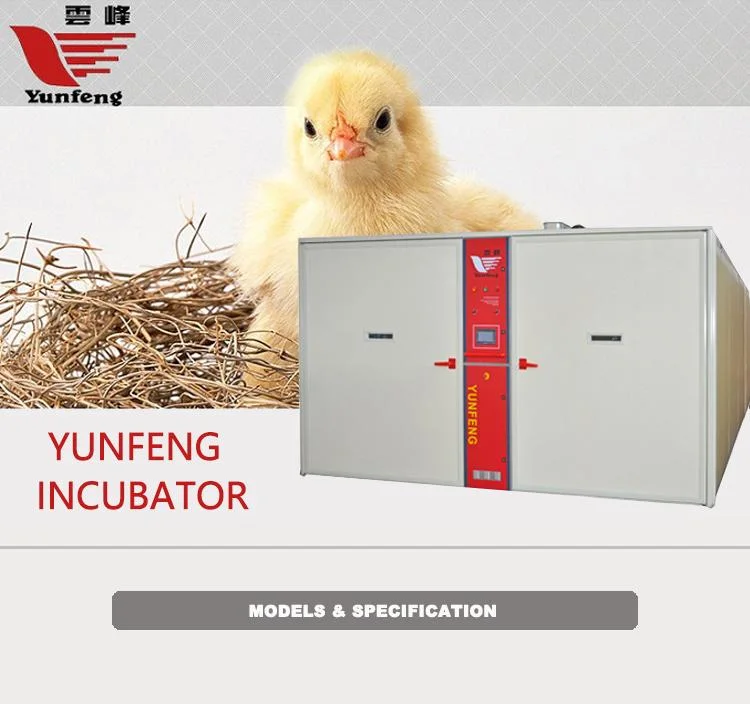 YFDF-38400 S-Line Singlestage Chicken Egg Incubators 38400 Egg Capacity