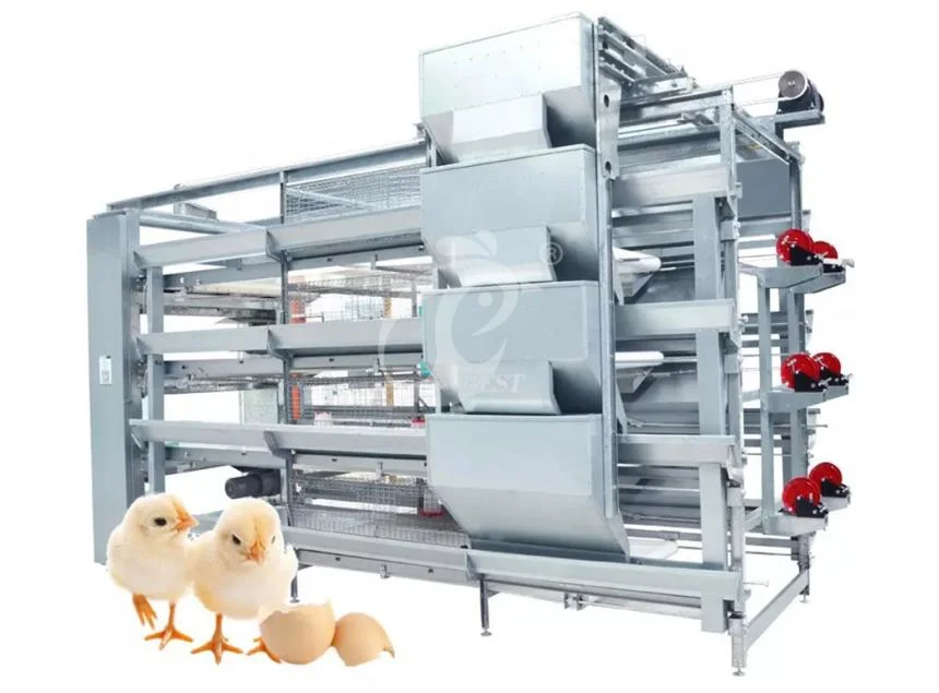 Bestchickencage H Type Young Hen Coop Breeder Cage China Young Chicken Coop Factory Sample Available Save Space and Food Farm Hen Brooder