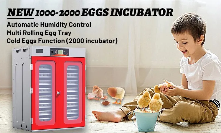 Hhd Automatic Eggs Hatching Machine Poultry 2000 Chicken Egg Incubator
