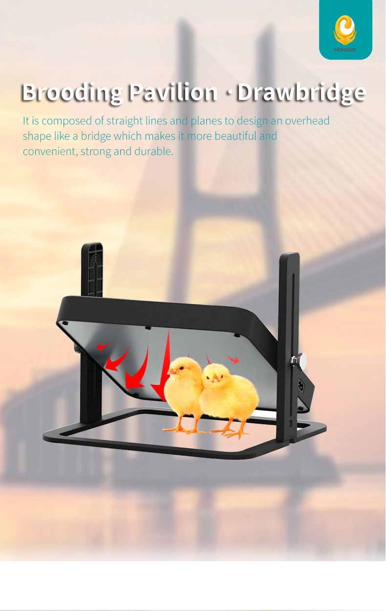 Wonegg New Bridge Brooder for 15 Chicks Chicken Brooder