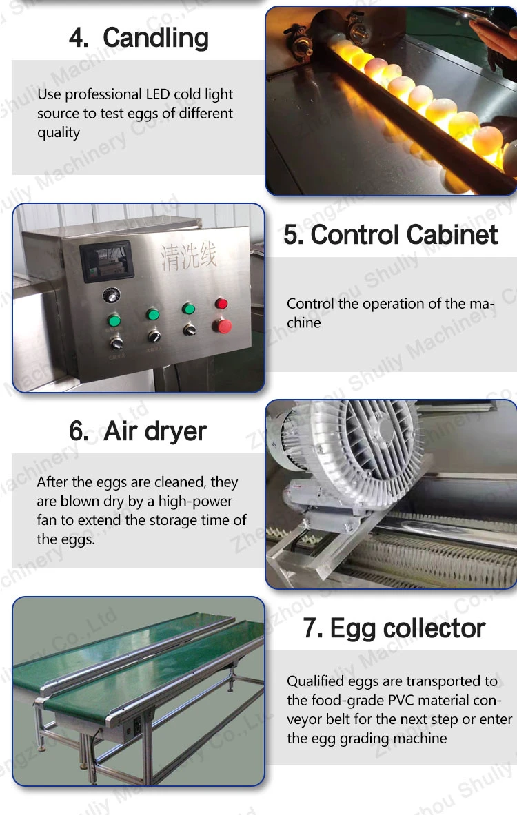Industrial Chicken Egg Washing Cleaning Machine Sorting Production Line