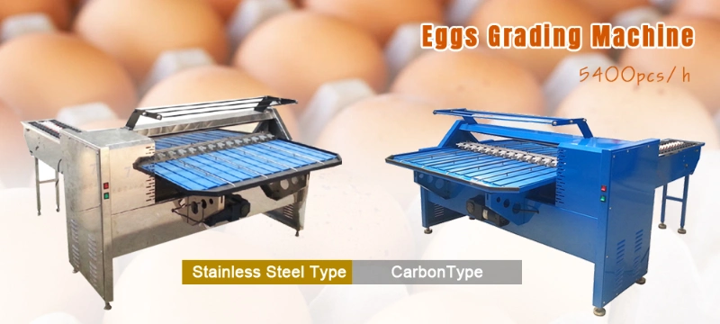 High Efficient Duck Egg Grading Weighing Sorting Machine Price