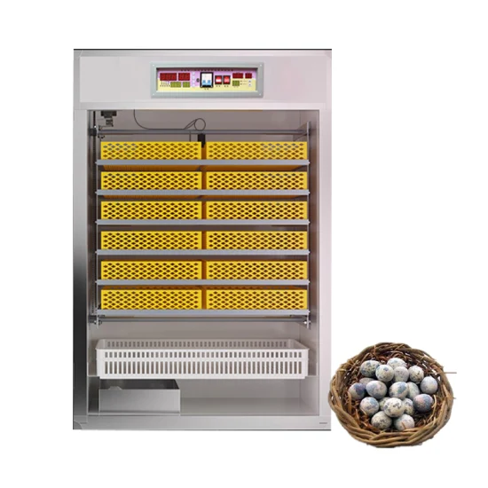 Mini Incubator Incubator for Eggs Egg Incubators with Trays