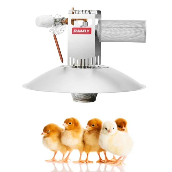 Damly Sunflower Chicken Farm Poultry Farming Equipment Infrared Gas Brooder with Thermostat for Broiler