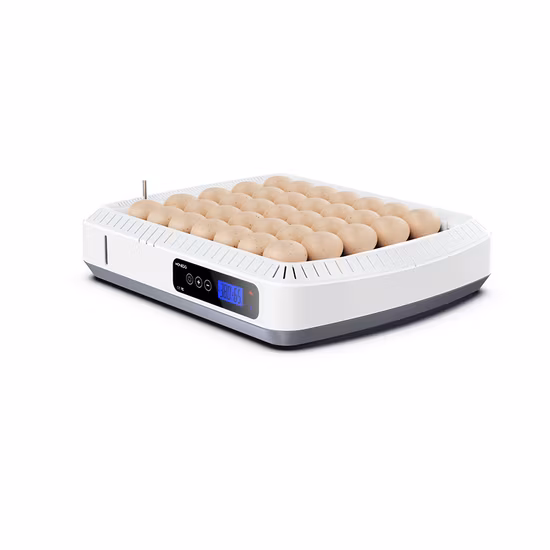 New Mini Automatic Egg Incubator for Hatching Chicken Eggs Jjc-35