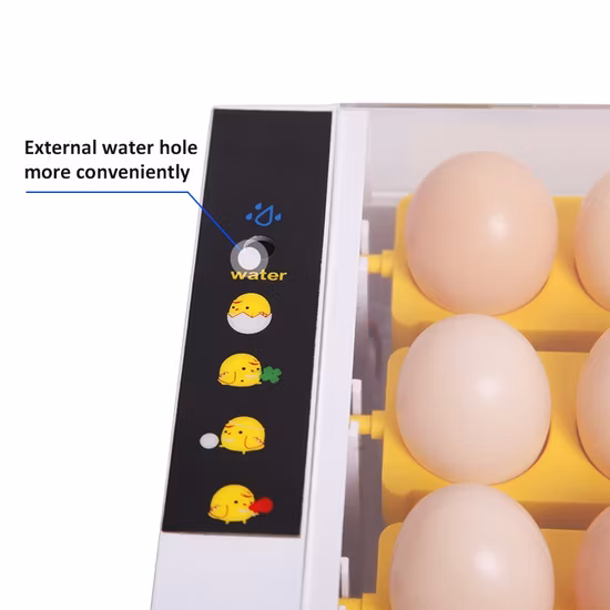 Big Discount Egg Incubator Mini/Mini Chicken Incubator