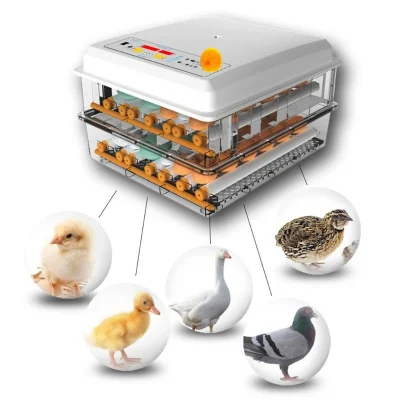 220V Eggs Incubator Brooder Bird Quail Chick Hatchery Incubator Poultry Hatcher Turner Automatic Farm Incubation Tools EU/Us