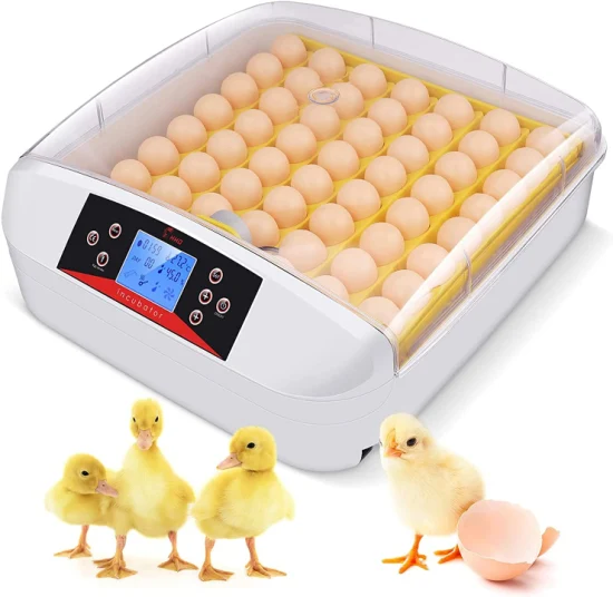 Newest Model 56 Eggs Incubator with LED Light Egg Tester