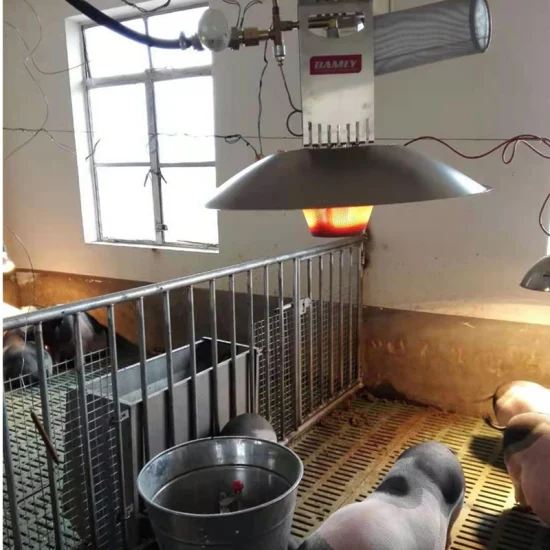 Livestock Equipment Farm Use Electric Brooder Gas Heater for Poultry and Pig Farm