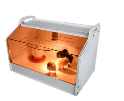 Incubator Chick Hover Box Family Use Brooder