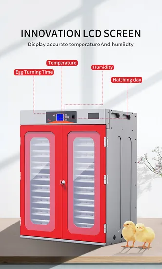 Chinese Red New Hhd Incubator Chicken Brooder Best Selling in Dubai