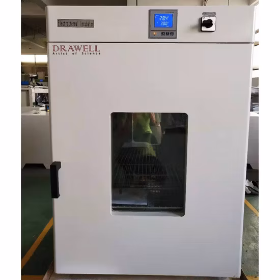 Stainless Steel Constant Temperature Incubators Cabinet 18L Laboratory Heating Incubator