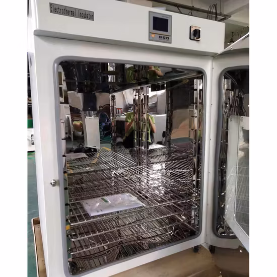 Stainless Steel Constant Temperature Incubators Cabinet 18L Laboratory Heating Incubator