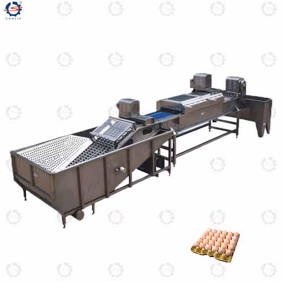 Dirty Egg Washing Drying Sterilizing Line
