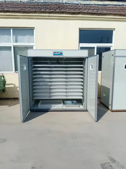 Full Automatic Chicken Reptile Egg Incubator Hatchery Machines