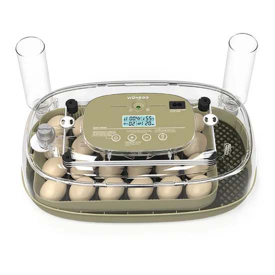 Hhd Mini Poultry Egg Incubator for Hatching Machine