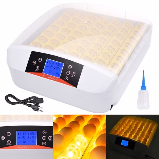 Newest Model 56 Eggs Incubator with LED Light Egg Tester