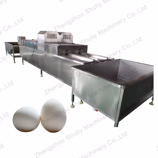 Automatic Egg Washing and Sorting Machine with Factory Price