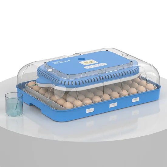 Hhd Automatic LED Light Inside Egg Incubators Hatcher Yz-56s
